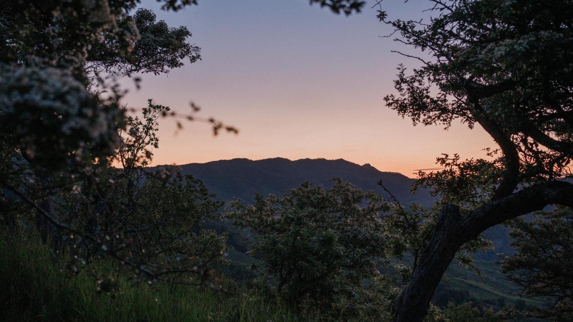 Hotel Aura - Glamping Experience Accettura Exterior foto
